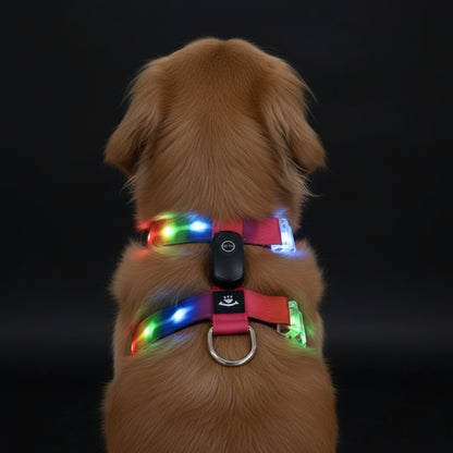 LED dog harness with Leash – Visibility, Comfort & Nighttime Safety