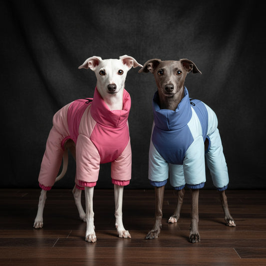 Heated dog visibility coat on two dogs standing together, showcasing LED features and vibrant colors in winter attire.
