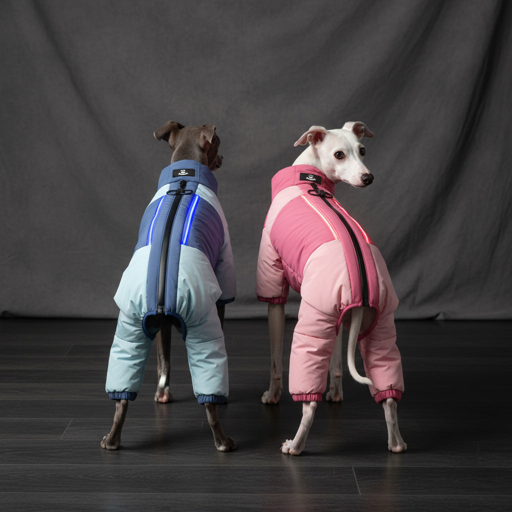Two dogs wearing heated dog visibility coats with LED lights in pink and blue for safety and warmth during winter walks.