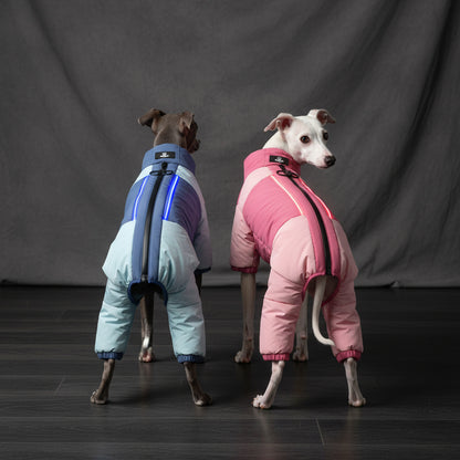 Two dogs wearing heated dog visibility coats with LED lights in pink and blue for safety and warmth during winter walks.