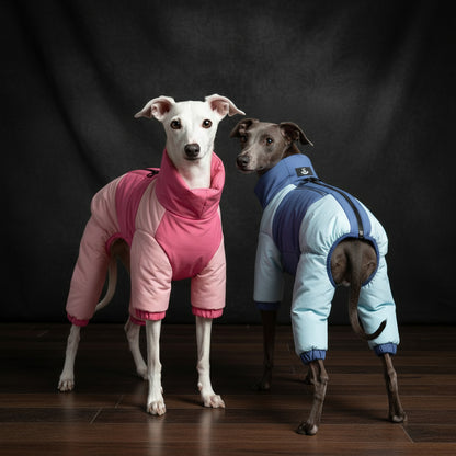 Two dogs wearing colorful winter jackets, showcasing style and warmth in a cozy indoor setting.