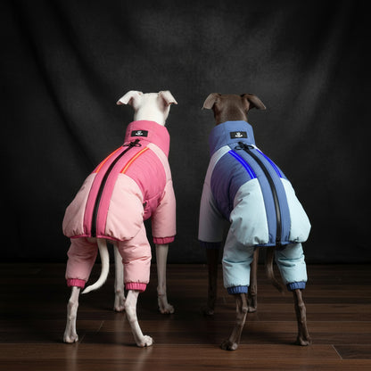 Two dogs wearing colorful heated dog visibility coats standing together, showcasing pink and blue designs.