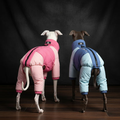 Two dogs wearing colorful heated dog visibility coats for winter walks.