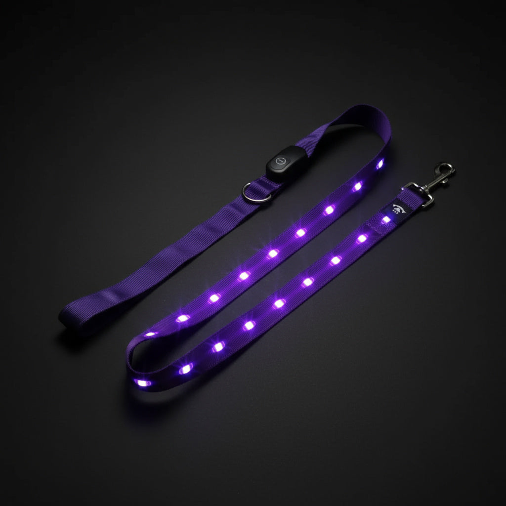 LED dog harness with Leash – Visibility, Comfort & Nighttime Safety