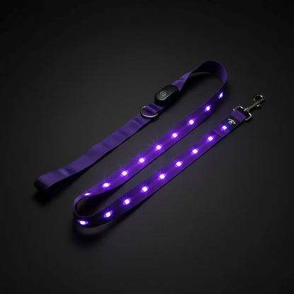 LED dog harness with Leash – Visibility, Comfort & Nighttime Safety